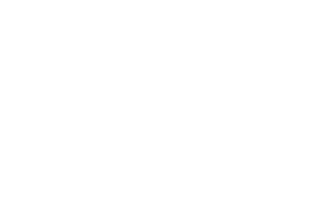 Mur en brique blanc dessiné