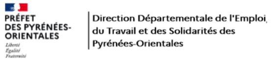 Logo DDETS